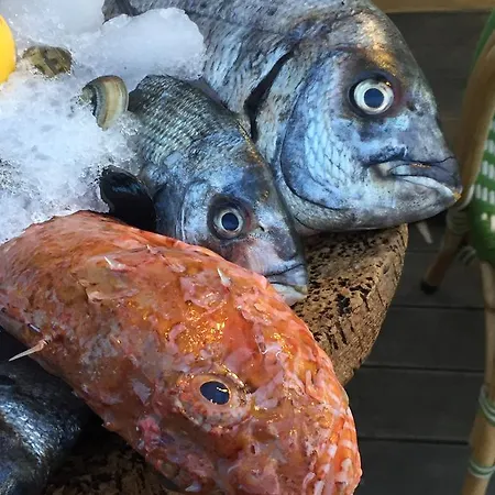 Hotel Le Porquerollais *